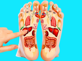 Хөгшрөлт хөлөөс эхлдэг. Түүнийг удаашруулах 5 арга